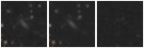 Missing file PGC035564-custom-montage-W1W2.png