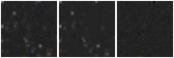 Missing file PGC1164263-custom-montage-W1W2.png