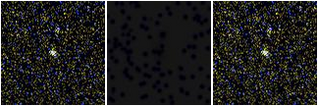 Missing file SDSSJ112800.19+250411.5-custom-montage-FUVNUV.png