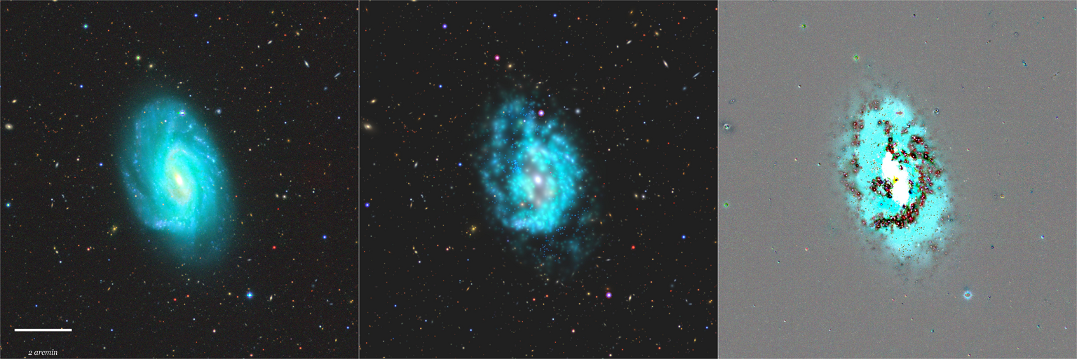 Missing file NGC3726-custom-montage-grz.png