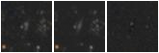 Missing file PGC035568-custom-montage-W1W2.png