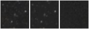 Missing file PGC1275866-custom-montage-W1W2.png