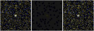 Missing file PGC2298394-custom-montage-FUVNUV.png