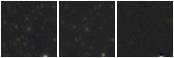 Missing file PGC2298394-custom-montage-W1W2.png
