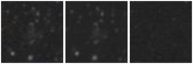 Missing file PGC2807142-custom-montage-W1W2.png