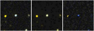 Missing file PGC3291243-custom-montage-FUVNUV.png