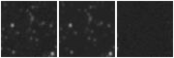 Missing file AGC219727-custom-montage-W1W2.png