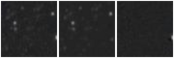 Missing file PGC3290826-custom-montage-W1W2.png