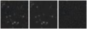 Missing file PGC1218595-custom-montage-W1W2.png