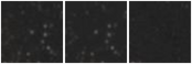 Missing file PGC2313654-custom-montage-W1W2.png
