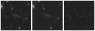 Missing file SDSSJ114132.40+575102.1-custom-montage-W1W2.png
