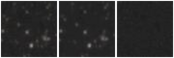Missing file AGC215196-custom-montage-W1W2.png