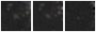 Missing file AGC215601-custom-montage-W1W2.png