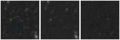 Missing file EVCC2007-custom-montage-W1W2.png