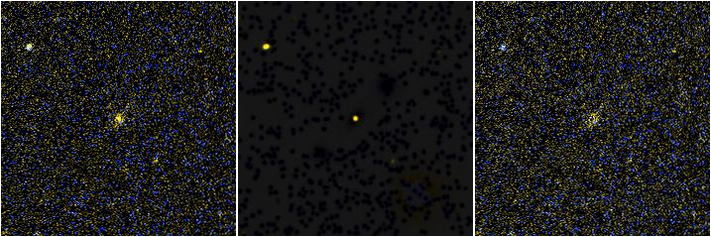 Missing file NGC3869-custom-montage-FUVNUV.png
