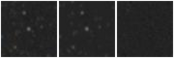Missing file VFID4028-custom-montage-W1W2.png