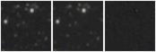 Missing file AGC219539-custom-montage-W1W2.png