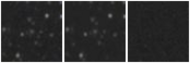 Missing file PGC1528400-custom-montage-W1W2.png