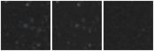 Missing file PGC2340722-custom-montage-W1W2.png