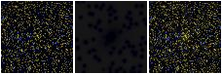 Missing file PGC2832084-custom-montage-FUVNUV.png