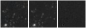 Missing file PGC037227-custom-montage-W1W2.png