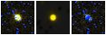 Missing file PGC2586272-custom-montage-FUVNUV.png