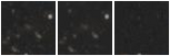 Missing file SDSSJ115554.88+405518.5-custom-montage-W1W2.png