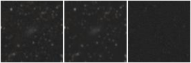 Missing file PGC037523-custom-montage-W1W2.png