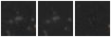 Missing file PGC1981745-custom-montage-W1W2.png