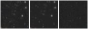 Missing file VFID2717-custom-montage-W1W2.png