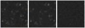 Missing file GAMA288932-custom-montage-W1W2.png