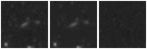 Missing file PGC1374673-custom-montage-W1W2.png
