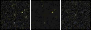 Missing file PGC2832105-custom-montage-FUVNUV.png