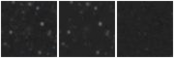 Missing file PGC2832105-custom-montage-W1W2.png