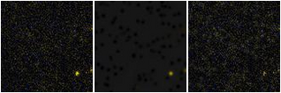 Missing file PGC3095176-custom-montage-FUVNUV.png