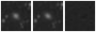 Missing file PGC038299-custom-montage-W1W2.png