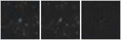 Missing file PGC1175879-custom-montage-W1W2.png