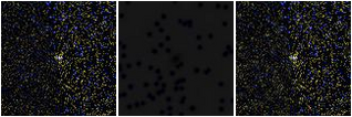 Missing file SDSSJ120413.71+392741.3-custom-montage-FUVNUV.png