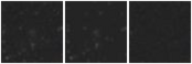 Missing file SDSSJ120413.71+392741.3-custom-montage-W1W2.png