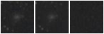 Missing file SDSSJ120534.26+281356.4-custom-montage-W1W2.png