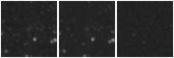 Missing file SDSSJ120741.28+392245.9-custom-montage-W1W2.png