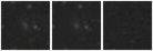 Missing file AGC731960-custom-montage-W1W2.png