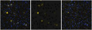 Missing file EVCC0116-custom-montage-FUVNUV.png