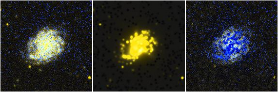 Missing file NGC4152-custom-montage-FUVNUV.png