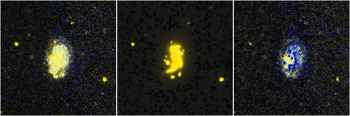 Missing file NGC4162-custom-montage-FUVNUV.png