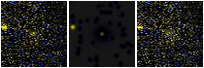 Missing file PGC2145586-custom-montage-FUVNUV.png