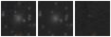 Missing file PGC2145586-custom-montage-W1W2.png