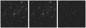 Missing file PGC2501589-custom-montage-W1W2.png