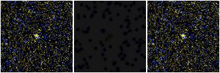 Missing file SDSSJ120841.07+391922.6-custom-montage-FUVNUV.png