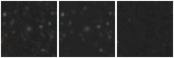 Missing file SDSSJ120841.07+391922.6-custom-montage-W1W2.png